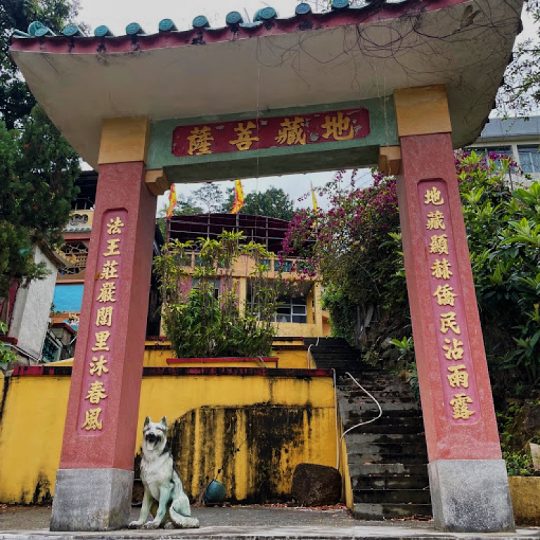 荃灣老圍地藏王殿正門 地藏菩薩古廟